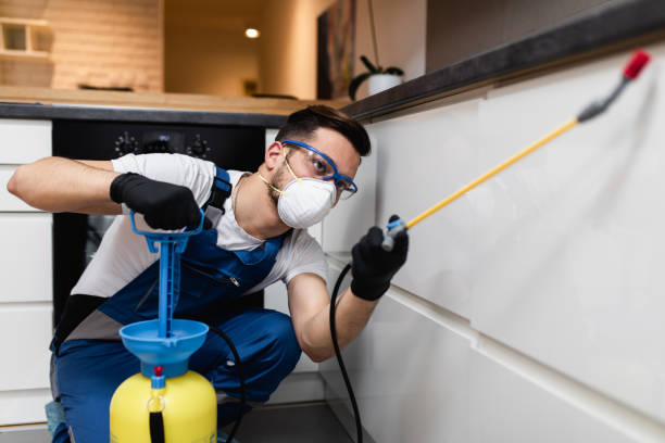 Best Cockroach Control Services  in Cuero, TX