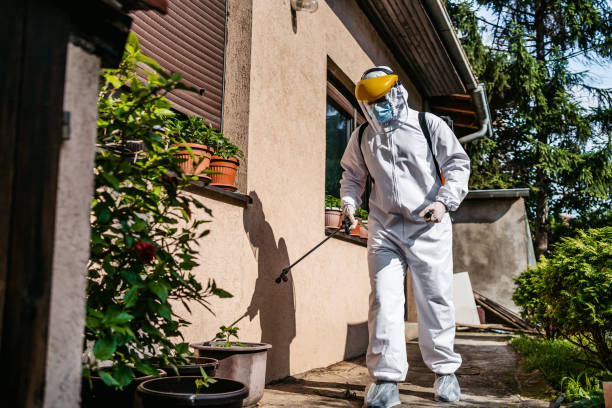 Best Insect Control  in Cuero, TX