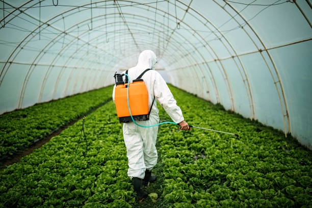 Best Pest Inspection Near Me  in Cuero, TX