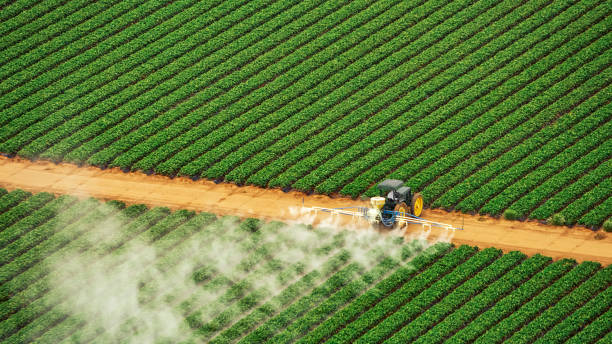 Best Pest Removal Services  in Cuero, TX