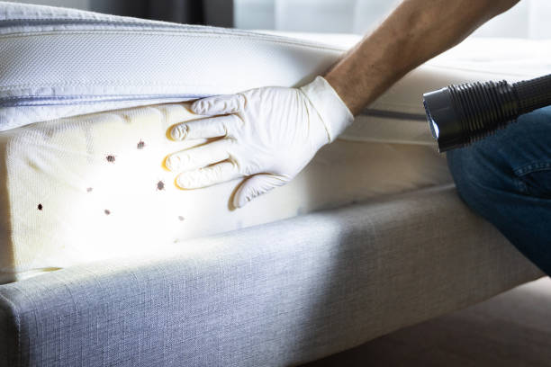 Best Affordable Pest Control Services  in Cuero, TX