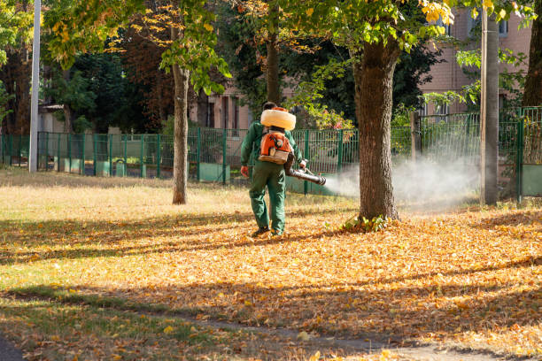 Best Commercial Pest Control Services  in Cuero, TX